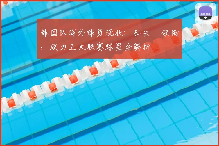 韩国队海外球员现状:孙兴慜领衔,效力五大联赛球星全解析